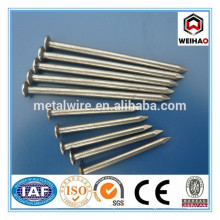 good quality common nail made in China